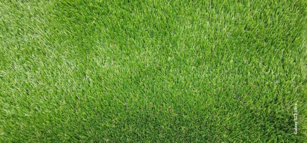 Synthetic Grass