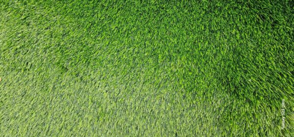 Artificial Grass