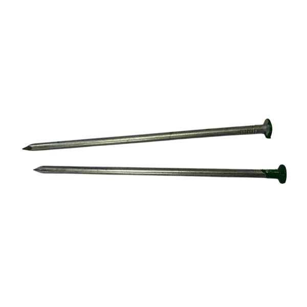 terra Turf straight nail 2